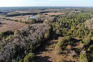 205 Varnum Rd, Laurel Hill, FL 32567 - Photo 7