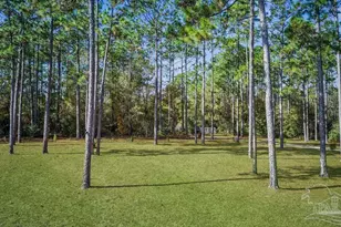 4460 Hwy 29, Molino, FL 32577 - Photo 59