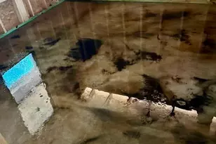 6809 Twister Ln, Milton, FL 32583 - Photo 3