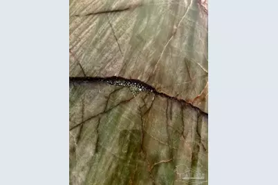 6809 Twister Ln, Milton, FL 32583 - Photo 7