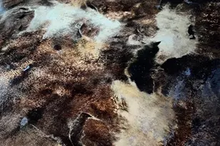 6793 Twister Ln, Milton, FL 32583 - Photo 3