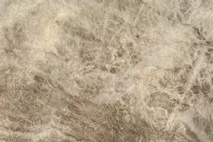 6793 Twister Ln, Milton, FL 32583 - Photo 7