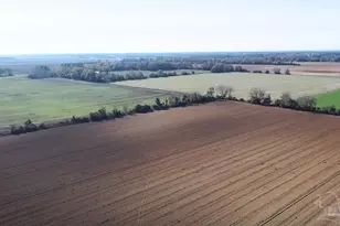 3549 Godwin Rd, Jay, FL 32565 - Photo 41