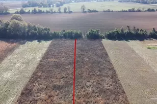 3549 Godwin Rd, Jay, FL 32565 - Photo 35