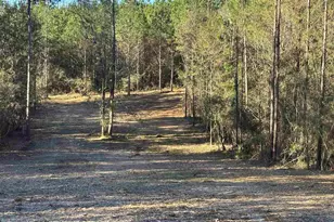 Lot 55 Straw Bridge Rd, Jay, FL 32565 - Photo 1