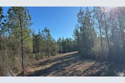 Lot 55 Straw Bridge Rd, Jay, FL 32565 - Photo 5