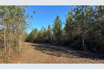 Lot 55 Straw Bridge Rd, Jay, FL 32565 - Photo 3