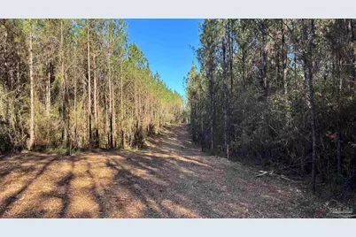 Lot 55 Straw Bridge Rd, Jay, FL 32565 - Photo 9