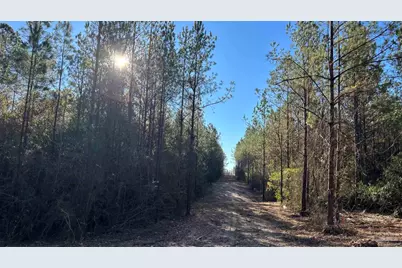 Lot 57 Straw Bridge Rd, Jay, FL 32565 - Photo 3