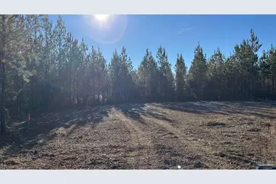 Lot 57 Straw Bridge Rd, Jay, FL 32565 - Photo 5