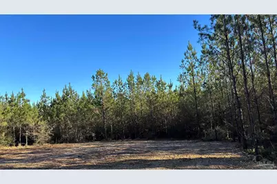 Lot 57 Straw Bridge Rd, Jay, FL 32565 - Photo 1
