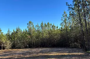Lot 57 Straw Bridge Rd, Jay, FL 32565 - Photo 1