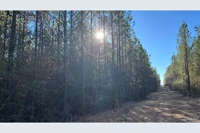 Lot 58 Straw Bridge Rd, Jay, FL 32565 - Photo 3
