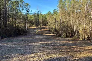 Lot 60 Straw Bridge Rd, Jay, FL 32565 - Photo 1