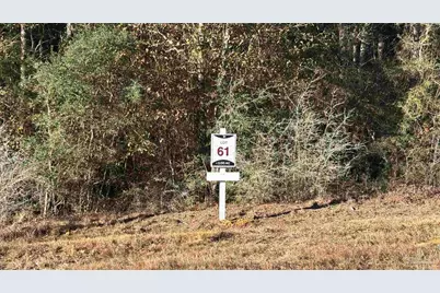 Lot 61 Straw Bridge Rd, Jay, FL 32565 - Photo 1