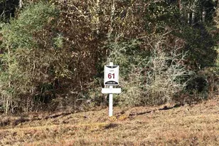 Lot 61 Straw Bridge Rd, Jay, FL 32565 - Photo 1