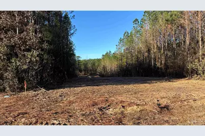 Lot 61 Straw Bridge Rd, Jay, FL 32565 - Photo 3