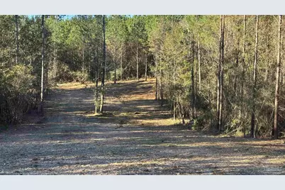 Lot 61 Straw Bridge Rd, Jay, FL 32565 - Photo 7
