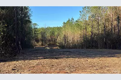 Lot 62 Straw Bridge Rd, Allentown, FL 32565 - Photo 3