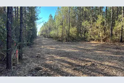 Lot 62 Straw Bridge Rd, Allentown, FL 32565 - Photo 7
