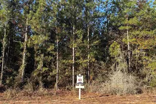 Lot 63 Straw Bridge Rd, Jay, FL 32565 - Photo 1