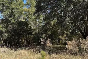 8300 Gulf Beach Hwy, Pensacola, FL 32507 - Photo 29