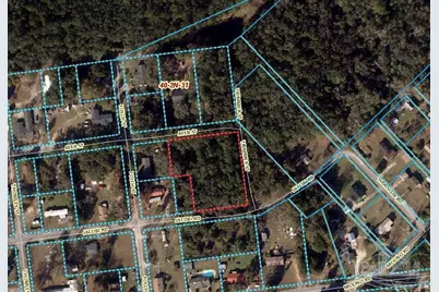 Tbd Jocobi At Trimmer Rd, Molino, FL 32577 - Photo 3