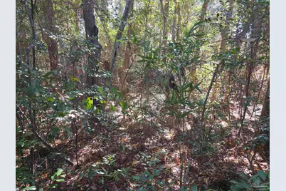 1821 Winding Creek Cir, Cantonment, FL 32533 - Photo 9