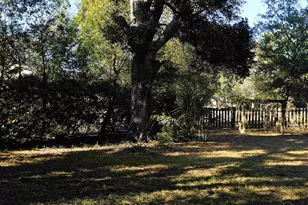 1915 W Wright St, Pensacola, FL 32502 - Photo 15