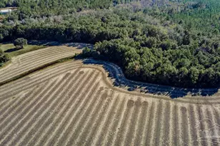 6 Segrest Rd, Pace, FL 32571 - Photo 1