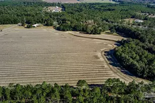 7 Segrest Rd, Pace, FL 32571 - Photo 1