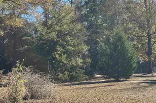 340 Cotton Creek Rd, McDavid, FL 32568 - Photo 19