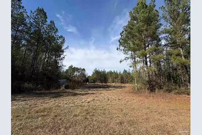 10485 Wiggins Grove Rd, Jay, FL 32565 - Photo 1