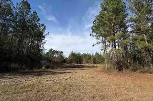 10485 Wiggins Grove Rd, Jay, FL 32565 - Photo 1