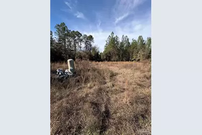 10485 Wiggins Grove Rd, Jay, FL 32565 - Photo 3