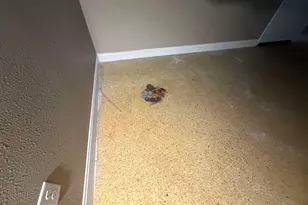 3600 E 8th St, Panama City, FL 32401 - Photo 7