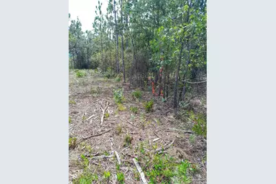Parcel B-2 Wildlife Rd, Harold, FL 32564 - Photo 5