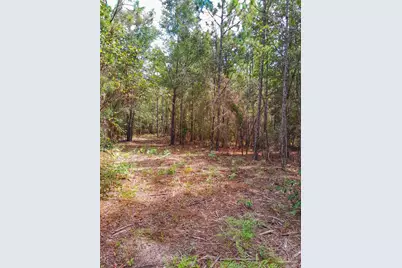 Parcel C-2 Wildlife Rd, Harold, FL 32564 - Photo 3