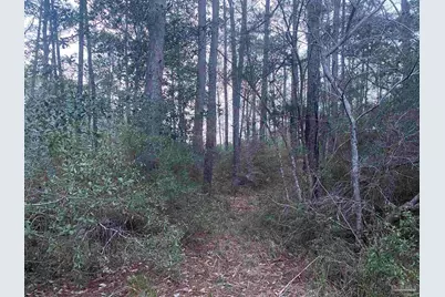 0000 Sunset Bayou Dr, Milton, FL 32570 - Photo 7