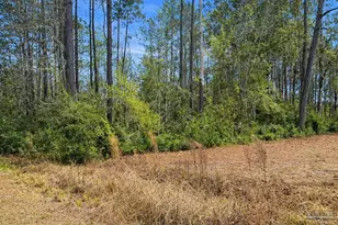 818 Twin Bridges Rd, Flomaton, AL 36441 - Photo 29