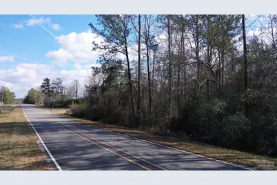 818 Twin Bridges Rd, Flomaton, AL 36441 - Photo 3