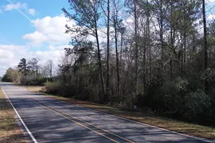 818 Twin Bridges Rd, Flomaton, AL 36441 - Photo 3