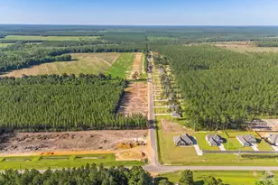 9244 3 Hollow Rd, Jay, FL 32565 - Photo 3