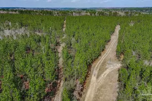 0 Mustard Seed Ln, Milton, FL 32583 - Photo 1