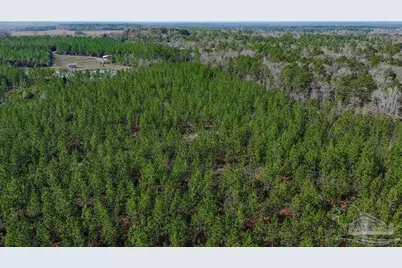 0 Mustard Seed Ln, Milton, FL 32583 - Photo 7