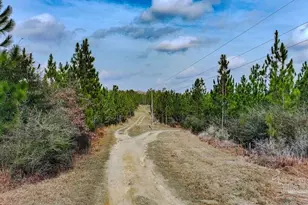 0 Mustard Seed Ln, Milton, FL 32583 - Photo 1