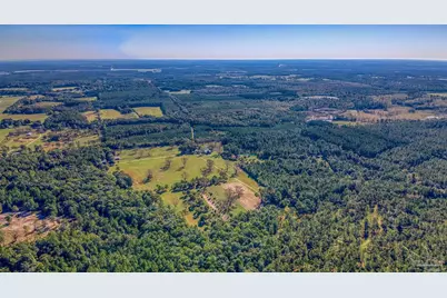 1650 Bear Bay Flats Rd, Laurel Hill, FL 32567 - Photo 51