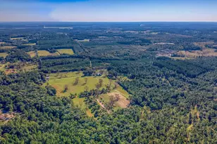 1650 Bear Bay Flats Rd, Laurel Hill, FL 32567 - Photo 51