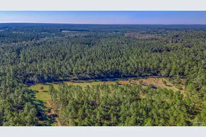 1650 Bear Bay Flats Rd, Laurel Hill, FL 32567 - Photo 45