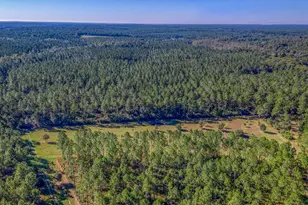 1650 Bear Bay Flats Rd, Laurel Hill, FL 32567 - Photo 45